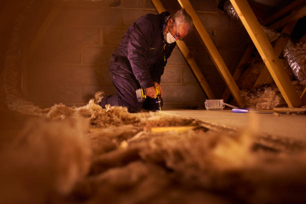 Professional Insulation Contractor in LA
